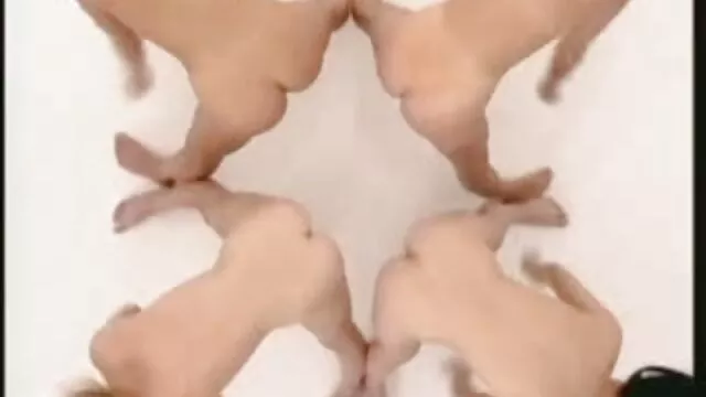 הפורנו הכי טוב, ללא רישום.  ממזר ארוס סרטים חינם מזוקן מיהר ברונטית קתרינה מורן לתוך הנרתיק ליד החלון, על ההדום ומיטה