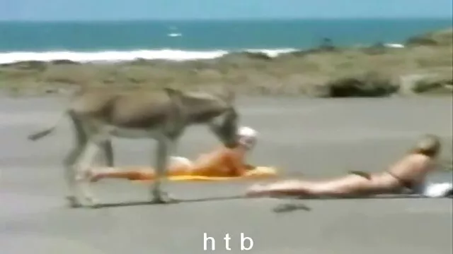 הפורנו הכי טוב, ללא רישום.  ריקוד לבן סקס חינם תחת גדול